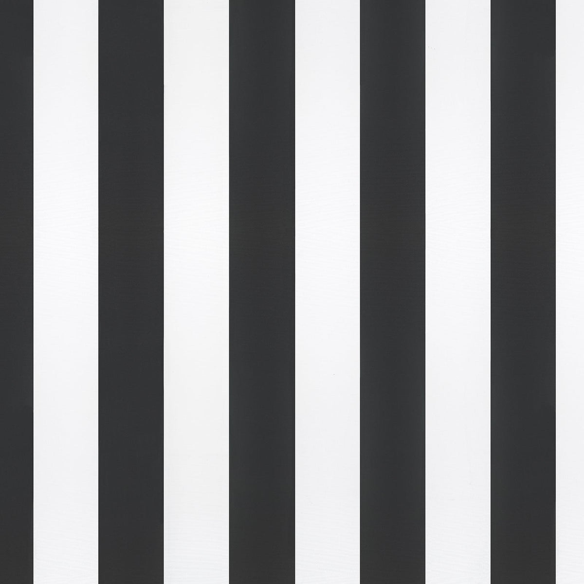 Stripe & Check