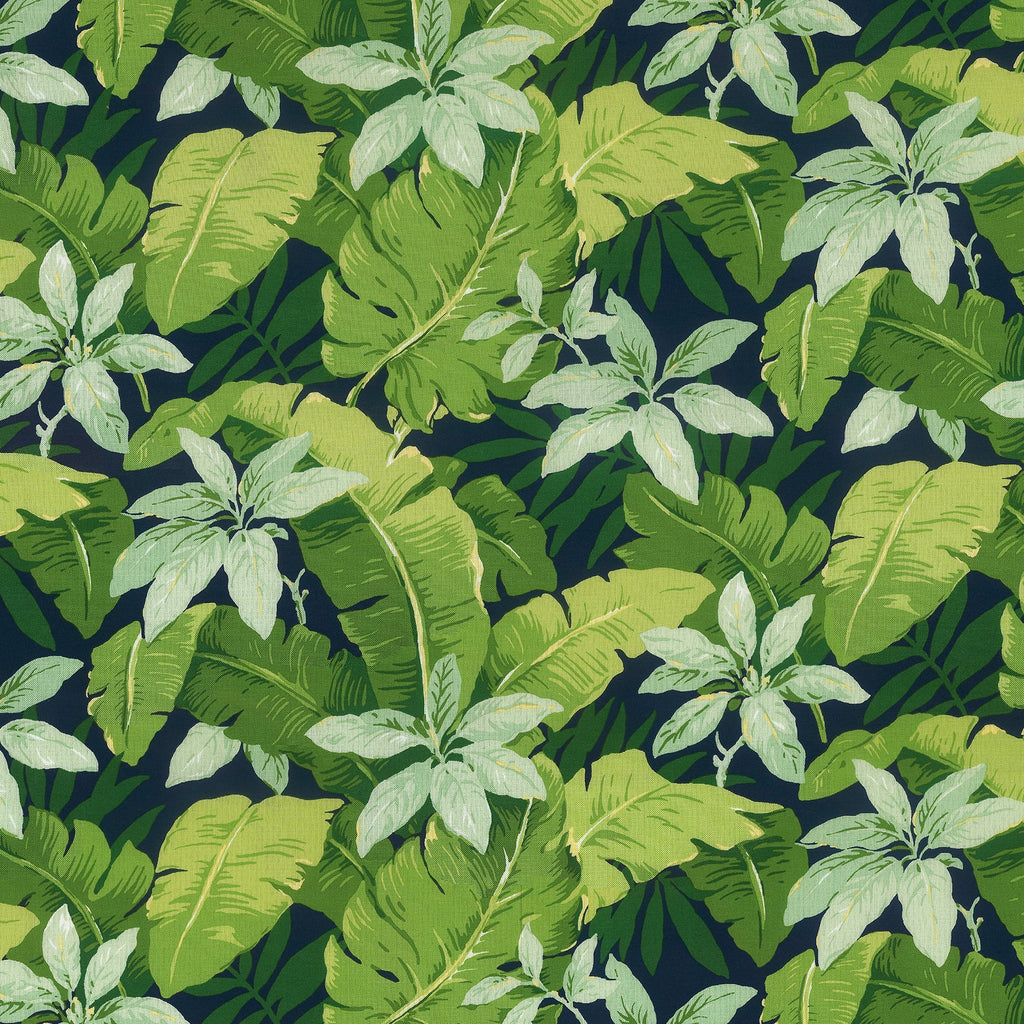 LVTXIII LSCL pattern