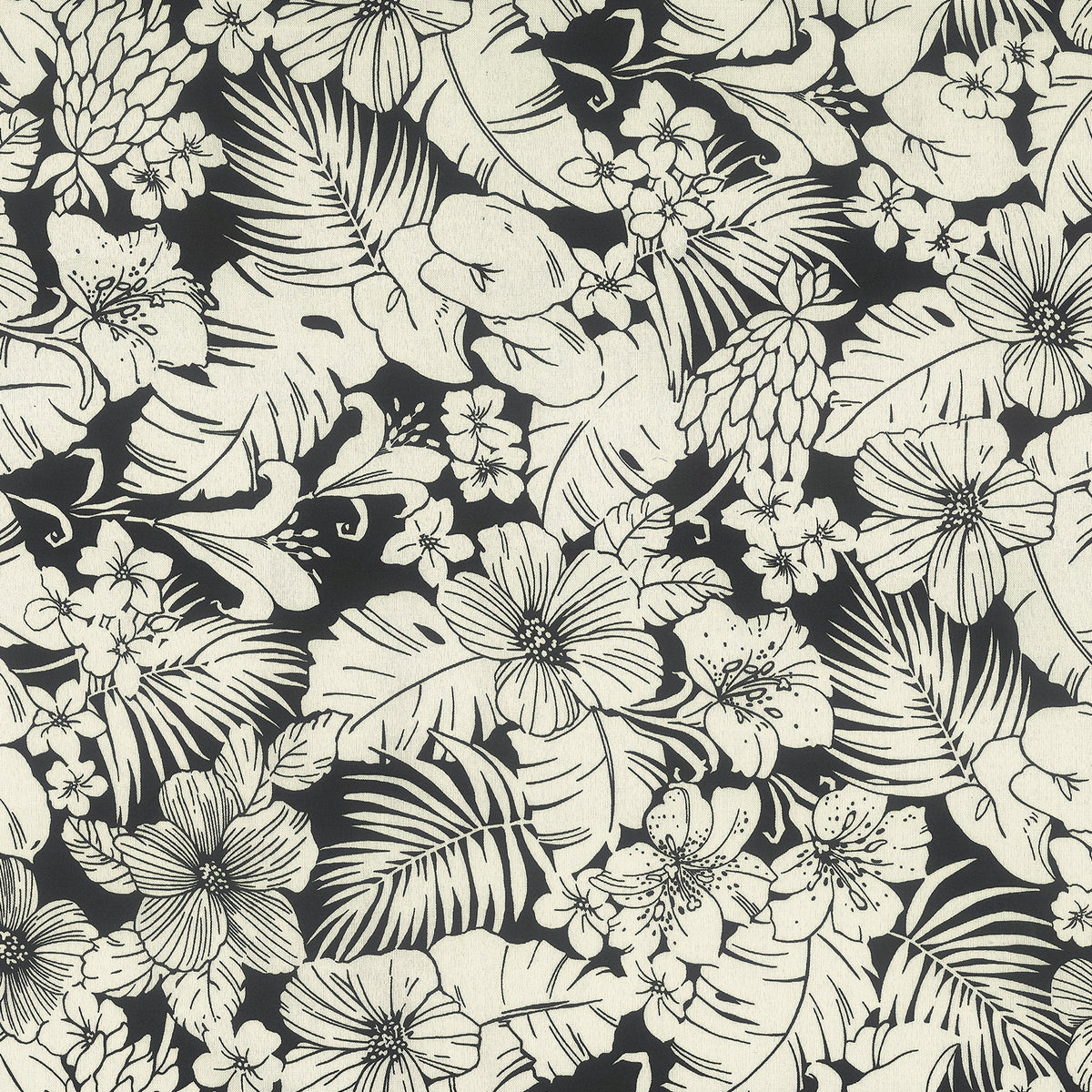 LVTXIII SMBH pattern