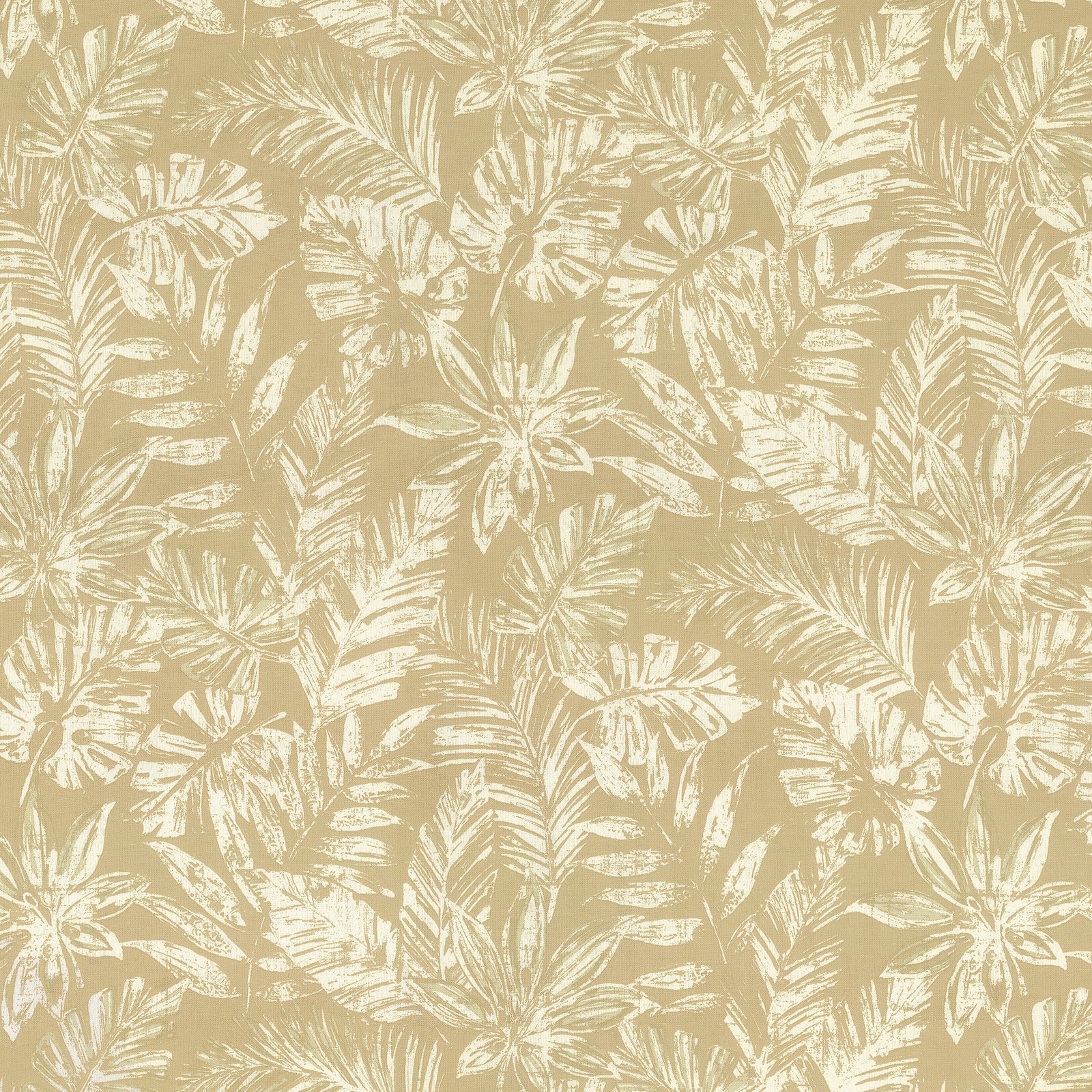 Tropical Leaf Oat
