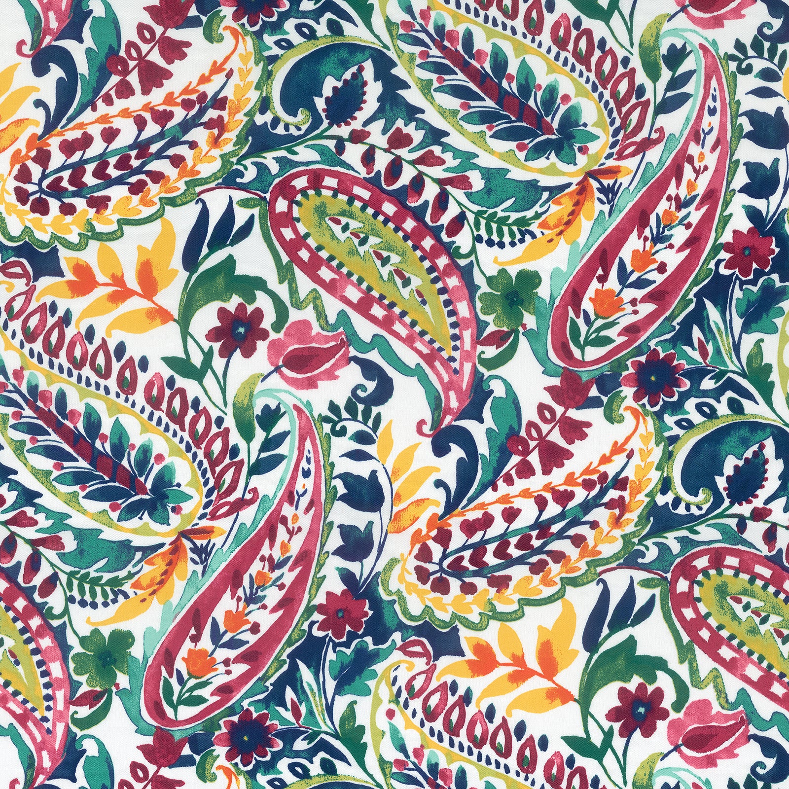 Vibrant Paisley