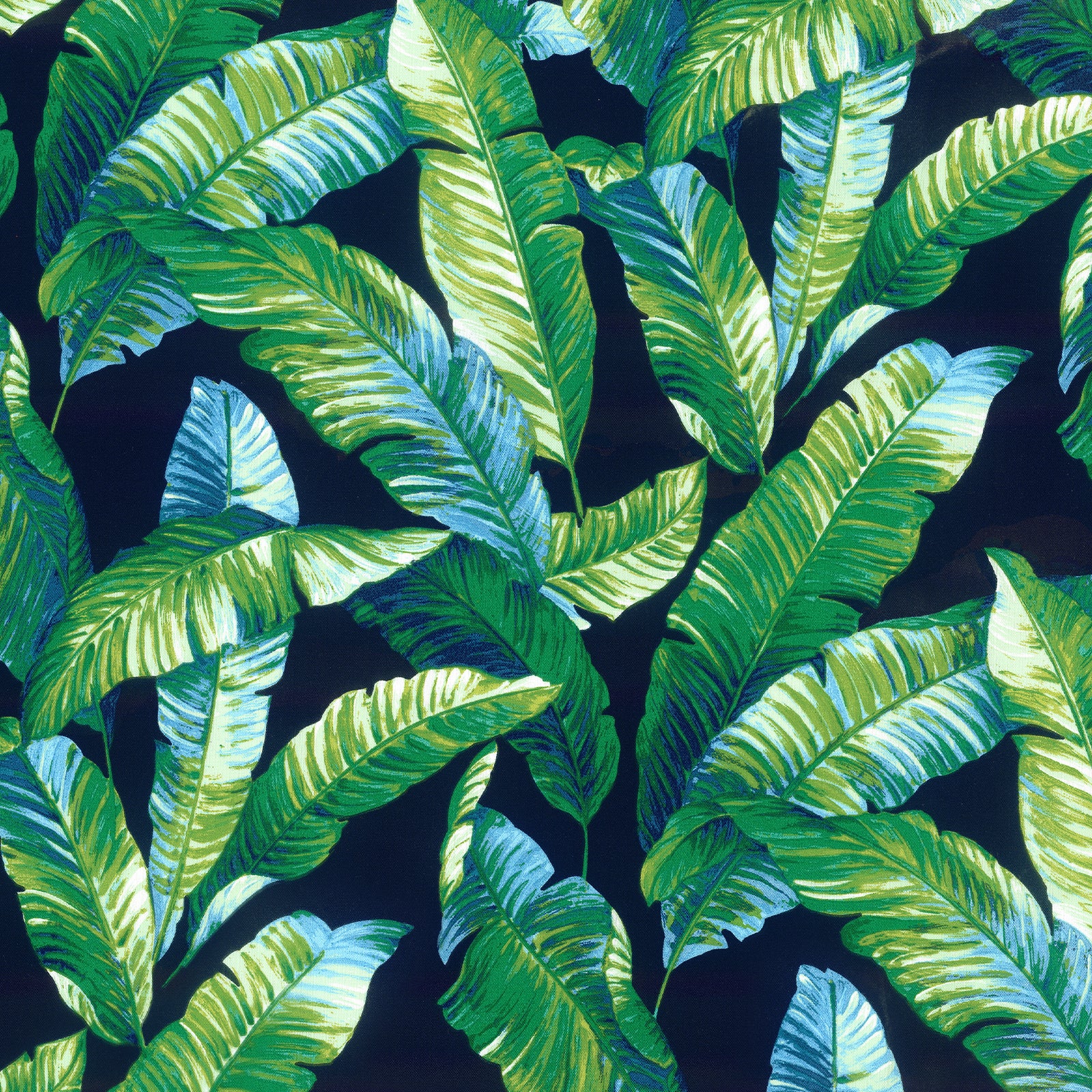 Midnight Banana Leaves