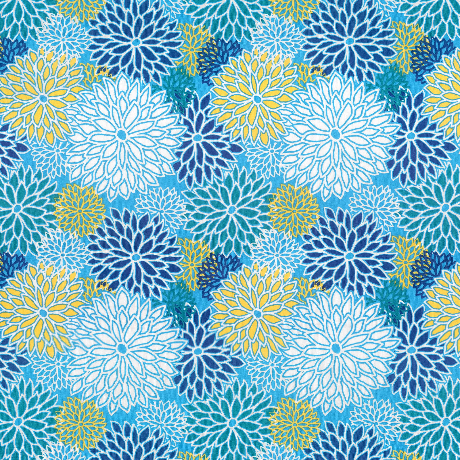 Blue Chrysanthemum Bloom