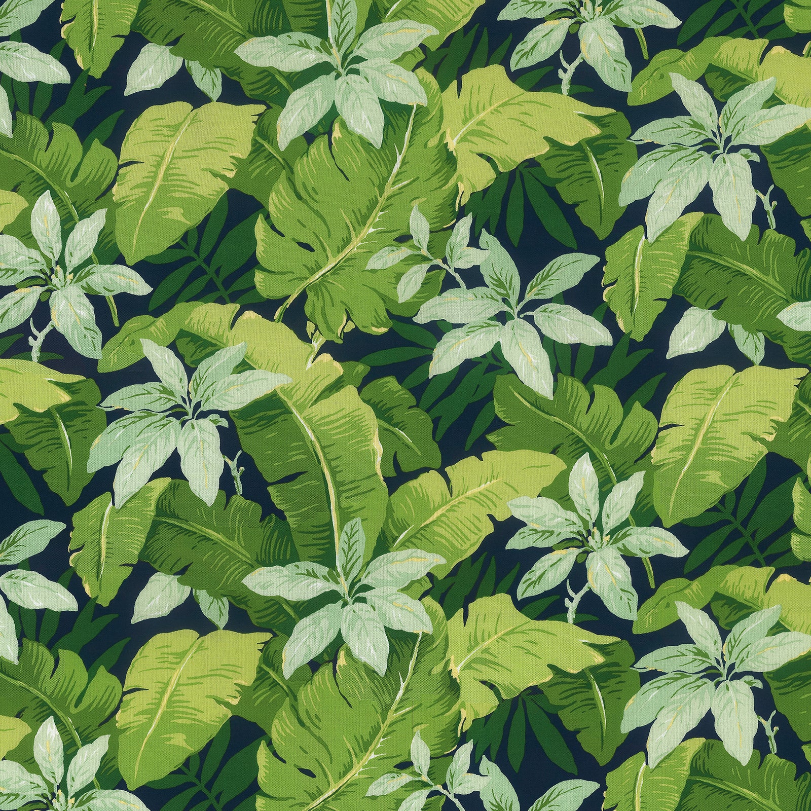 Jungle Leaves