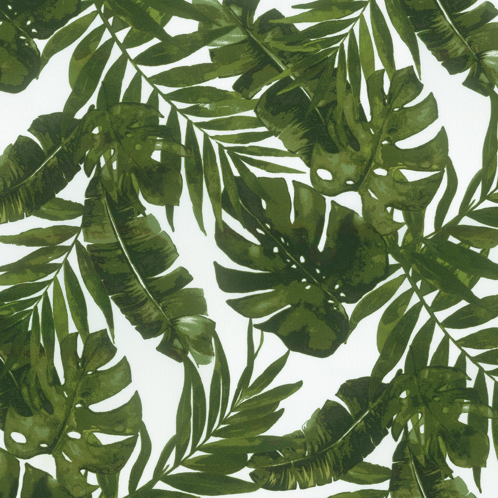 Green Tropical Canopy
