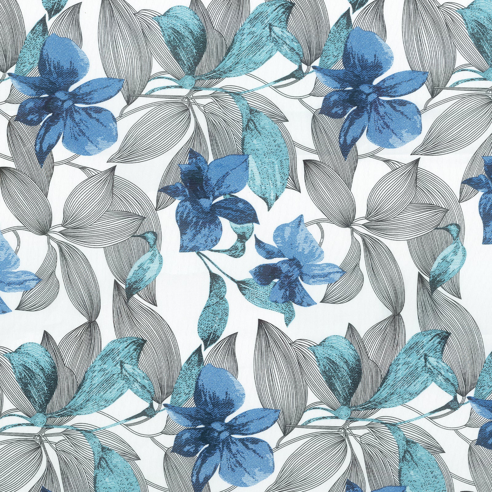 Blue Iris Garden