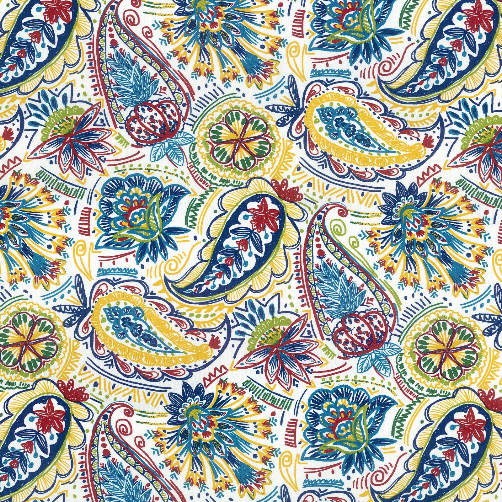Paisley Chili